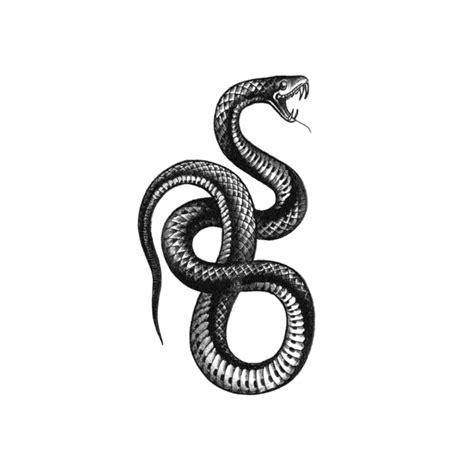Serpent Blackwork Serpent Tattoo Snake Temporary Tattoo Etsy Ireland