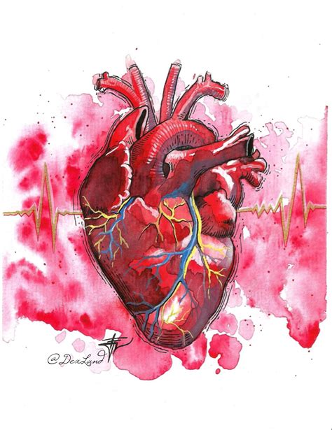 Heartbeat Dibujo De Corazon Humano Pintura De Corazón Arte De Anatomía
