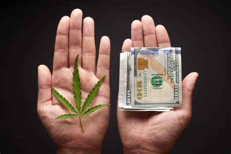 The Benefits Of A Tax Resolution Attorney For Your Cannabis Business