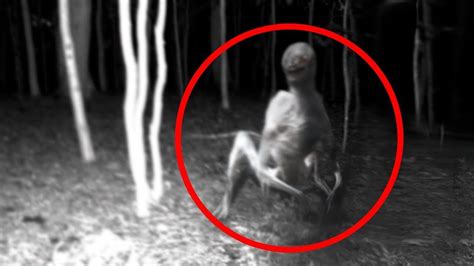 5 Extraterrestrials Caught On Camera And Spotted In Real Life Aliens