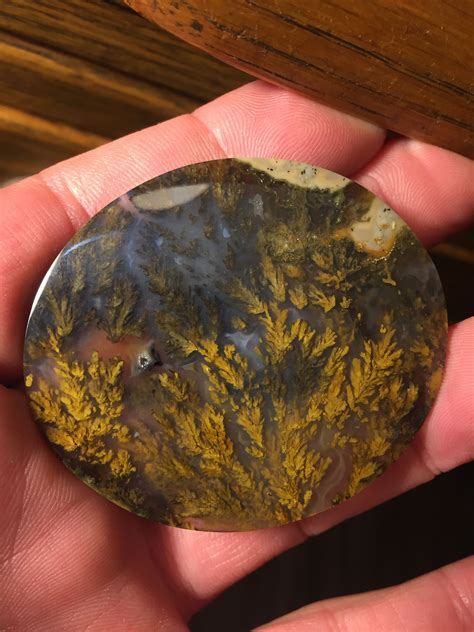Plume Agate From Colorado Minerals Crystals Rocks Gems And Minerals
