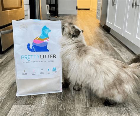 Prettylitter Cat Litter 2023 Review Is It A Good Value Pet Keen