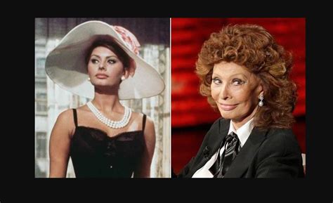 Ageless Wonder Sophia Loren Looks Remarkable At 80 Movie News