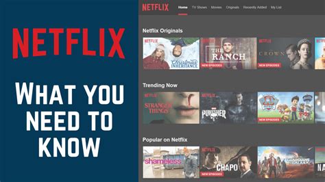 What Is Netflix And How Does It Work