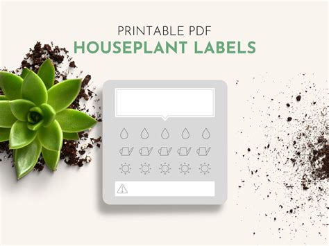 Plant Care Cards Plant Labels Printable Plant Care Instructions Tag