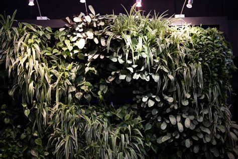 Green Walls And Vertical Planting Tendercare
