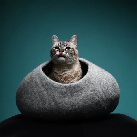 Post pictures of your cats, talk about cats, ask questions, get advice. Cozy Felt Cat Caves From Max-Bone - Design Milk