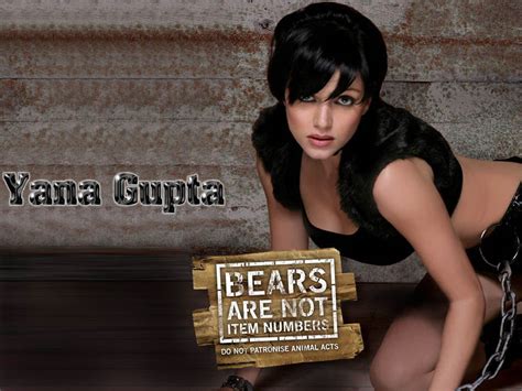 Yana Gupta Sexy Hd Wallpapers 1920x1080 1024x768 Hindi Fun Hub