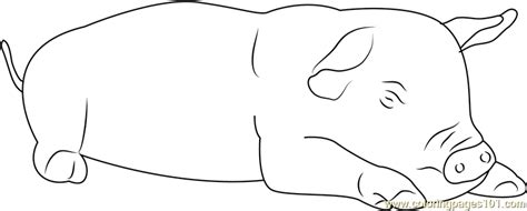 Pig Sleeping Coloring Page for Kids - Free Pig Printable Coloring Pages
