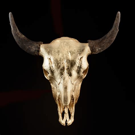 Bison Skull Silver Gild Phylum Design Touch Of Modern
