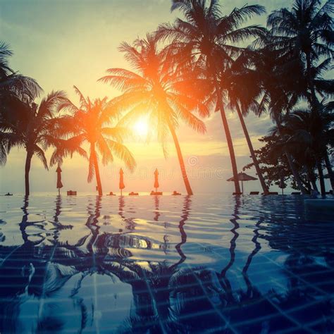Sunset On A Tropical Resort Beach With Silhouettes Of Palm Trees