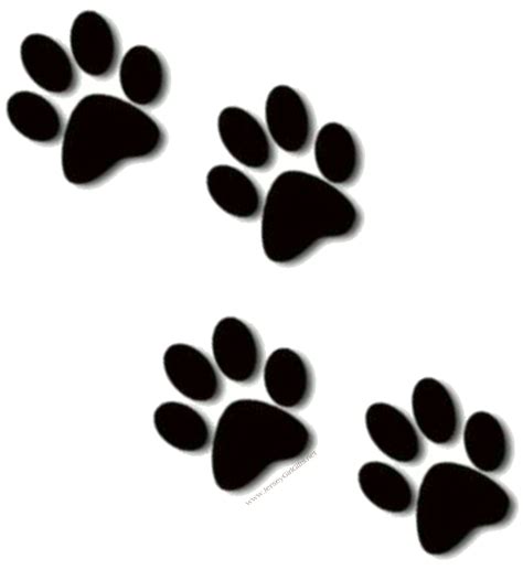 Black Paw Transparent Clipart Best