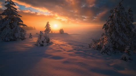 Landscape And Trees Covered With Snow During Winter Sunset Hd Nature Wallpapers Hd Wallpapers