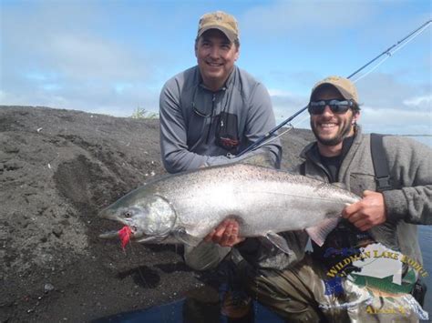 Alaska Do You Want To Catch Salmon Aardvark Mcleod