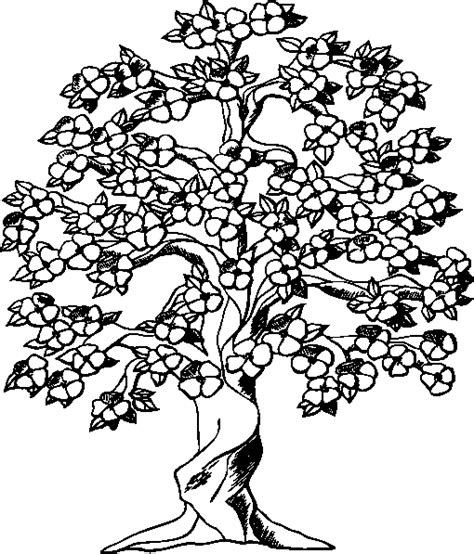 Coloring pages cherry blossom tree coloring page pages for. Cherry Blossom Coloring Page at GetColorings.com | Free ...