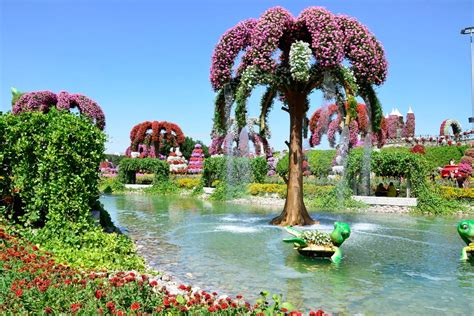 Dubai Miracle Garden And Butterfly Garden Tickets And Infos