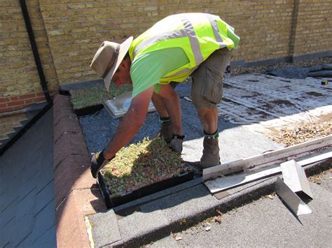 How To Build A Green Roof Step 7 Green Roof Installation Green