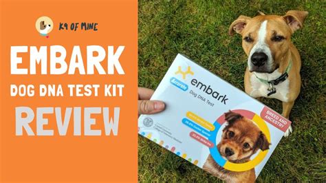 Embark Dog Dna Test Breed Identification Kit Review 2019 Youtube