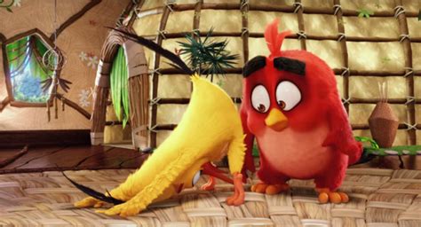 ABMOVIE CHUCK DOWNWARD DUCK The Angry Birds Movie Photo Fanpop