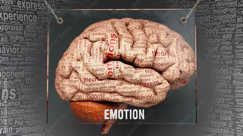 Emotion In Human Brain Dozens Of Important Terms Describing Emotion