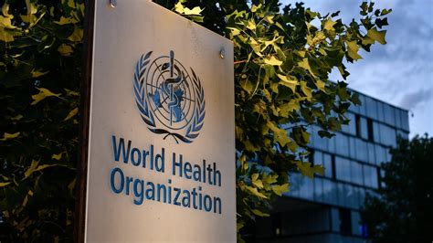 World Health Organization Who Recruitment February Careers