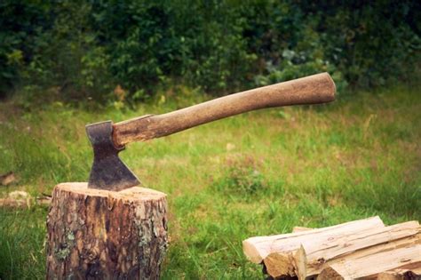 19 Different Types Of Wood Cutting Tools For Every Project