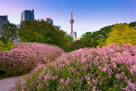 The Best Parks And Green Spaces In Toronto
