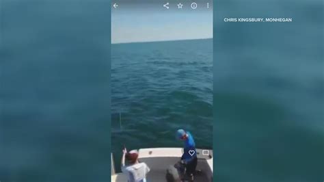 Mako Shark Jumps Onto Midcoast Fishing Boat Newscentermaine Com