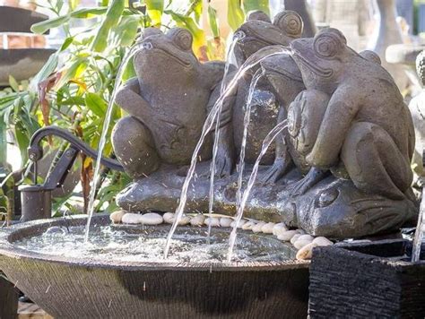 Frog Fountains Are One Of My Favorite Types Of Waterfeatures And What