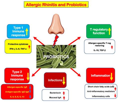 Allergies Free Full Text Probiotics In Allergic Rhinitis Management