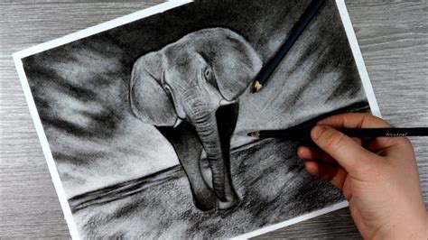 How To Draw An Elephant In Charcoal Step By Step Tutorial Youtube