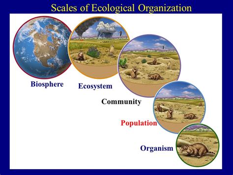Biomes And Ecosystems Duquette Science
