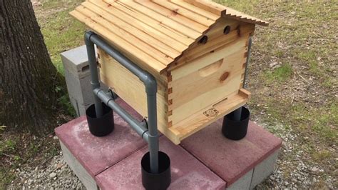 Bee Hive Pvc Stand With Building Plan Ant Free Bee Hive Stand Hive