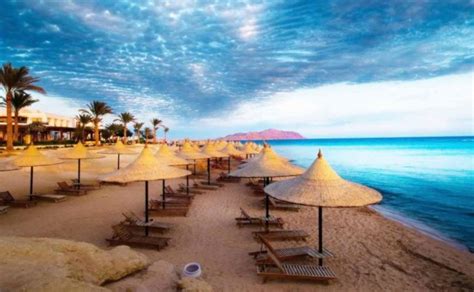 يتوفر 536,631 تعليق حول موارد الرحلات المتوفرة في شرم الشيخ، يعد tripadvisor مصدر المعلومات المتوفرة حول شرم الشيخ, مصر. أسبوع في شرم الشيخ الساحرة