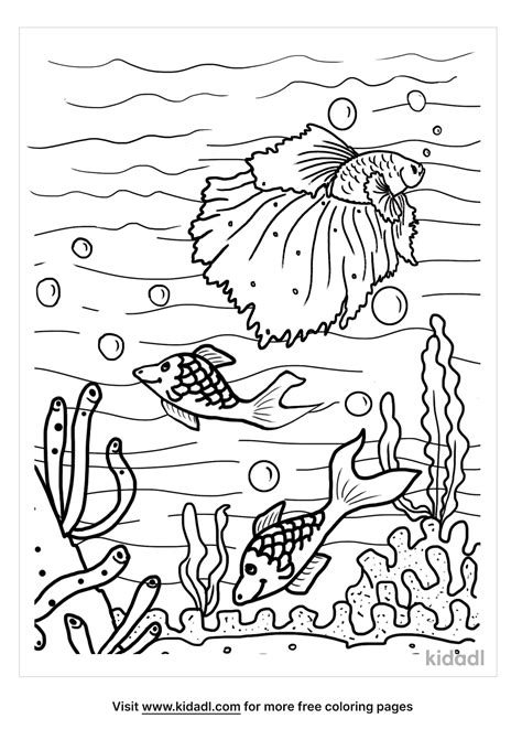 Ocean Scene Coloring Pages Free Seas Oceans Coloring Pages Kidadl