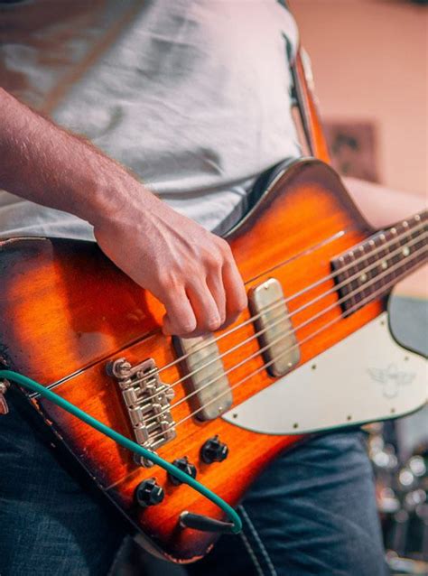 16 Essential And Easy Bass Guitar Setup And Bass Modifications
