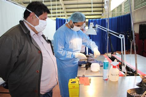 We did not find results for: MÁS DE 3 MIL PERROS Y GATOS SON ESTERILIZADOS E ...