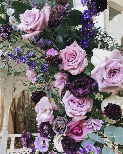 Not only regarding the cryptocurrencies, but bitcoinist. Loving purples right now! 💜💜💜 | Bloom, Floral design ...