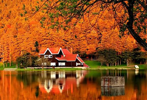Here latest fall river cabins design collection. Rest Fiery River Cottage Forest Lake Foliage Mirrored ...