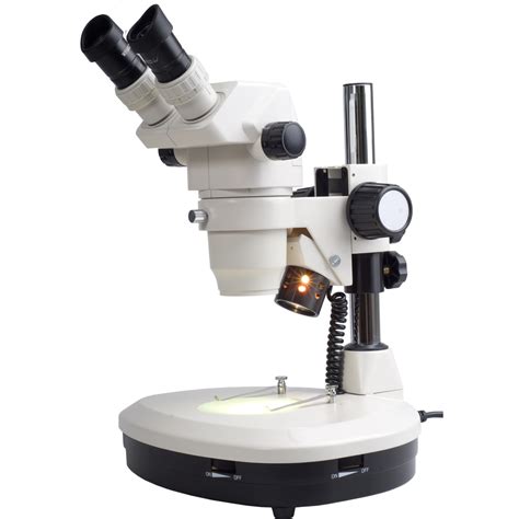 Microscope PNG Transparent Image Download Size X Px