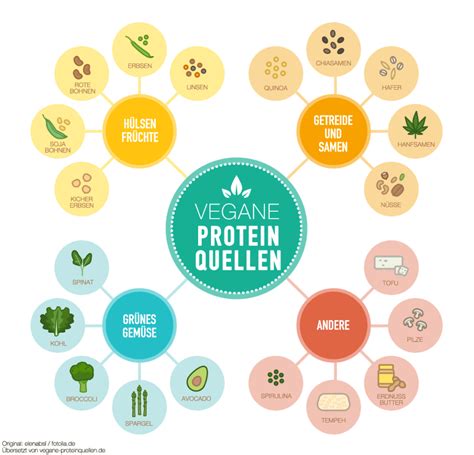 Vegane Proteinquellen Alles über Pflanzliche Eiweißquellen