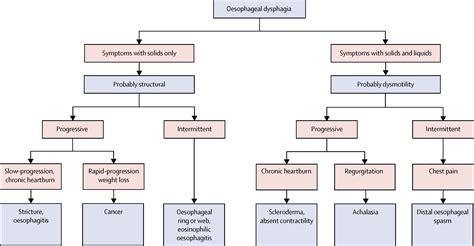 Oesophageal Dysphagia A Stepwise Approach To Diagnosis And Management