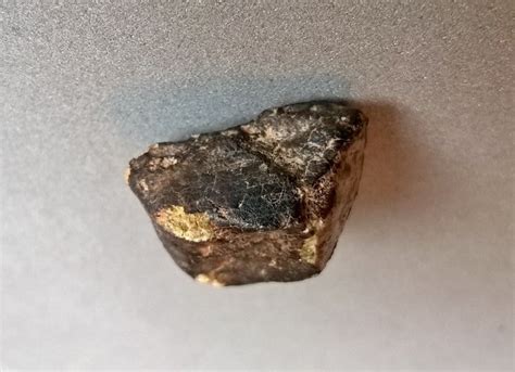 Meteorite Nwa 6421 Achondrite Diogenite 31gr Catawiki