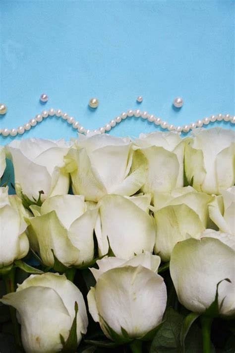 White Roses And Pearls Stock Photo Image Of Glamour Fresh 3874604
