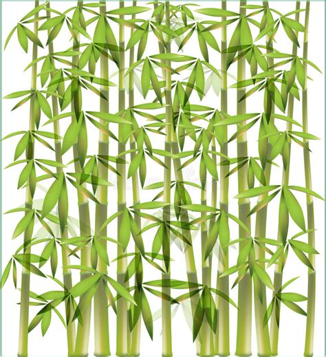 Fond En Bambou Illustration De Vecteur Illustration Du Jardin