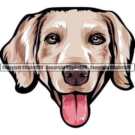 Weimaraner Dog Breed Head Color Clipart Svg Clipart Svg