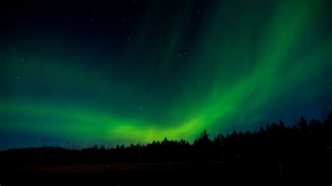 Wallpaper Northern Lights Night Trees Sky Hd Picture