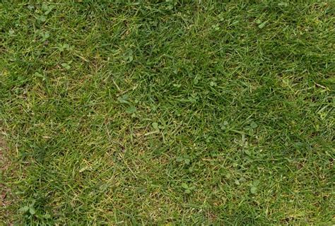 Grass Texture Google Search In Outdoor Flooring Grass Texture