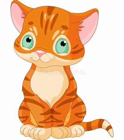 Kitten Cat Tabby Cartoon Orange Clipart Animals