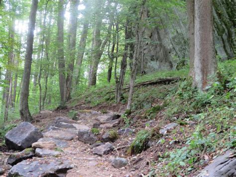 The Trails At Jakes Rocks Mountain Bike Trail In Warren Pennsylvania